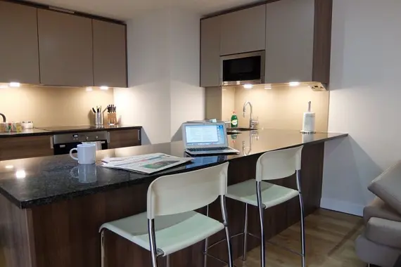 The modern kitchen with a breakfast bar