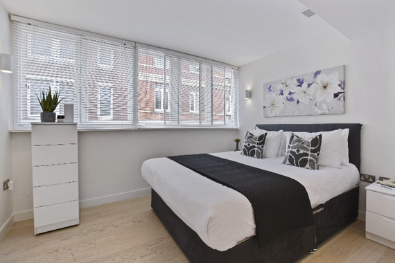 A cozy and comfortable two bedroom apartment with plenty of light