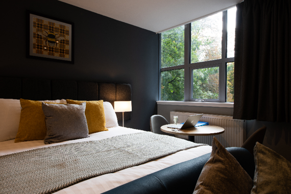 A cozy and lovely studio apartment